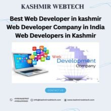 kashmir webtech is the leading web development company in india