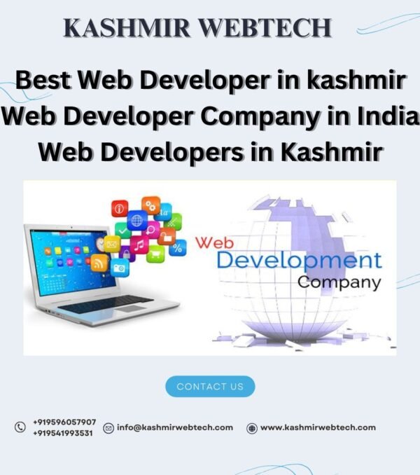 kashmir webtech is the leading web development company in india